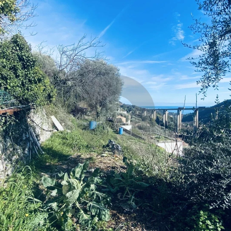 VENTE TERRAIN CONSTRUCTIBLE À GORBIO