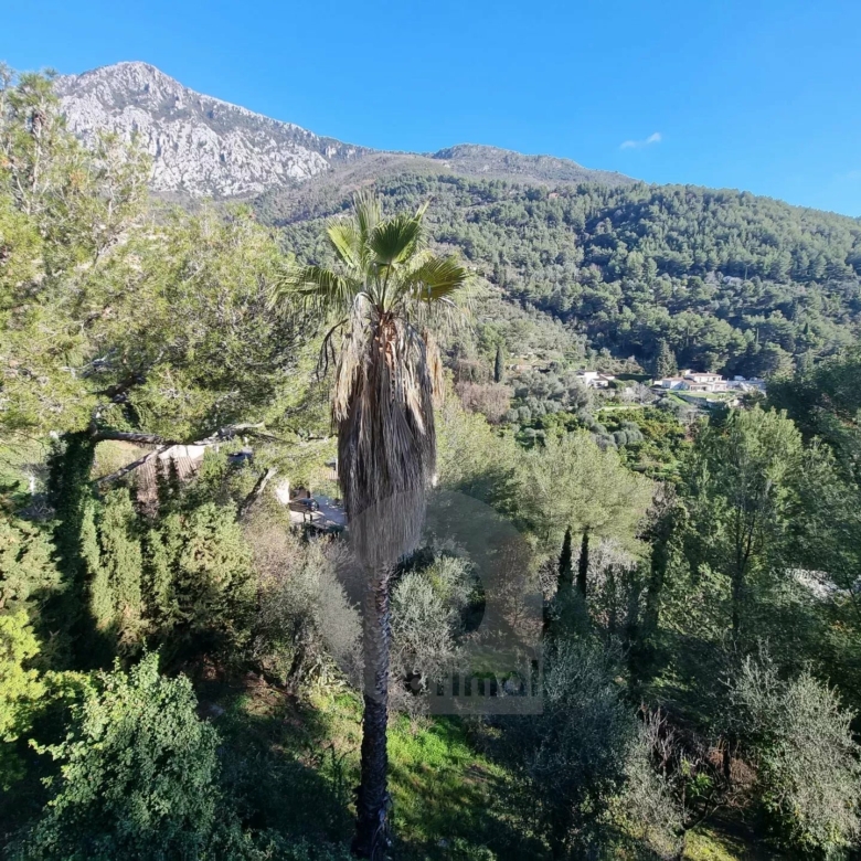 CASTELLAR – villa à 250 mètres de Menton