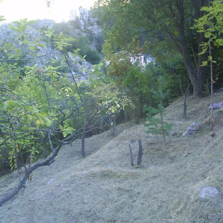 Maison de village et terrain à La Brigue