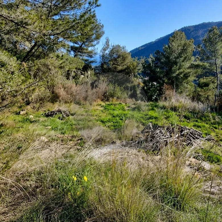 VENTE TERRAIN CONSTRUCTIBLE AVEC PERMIS DE CONSTRUIRE À GORBIO