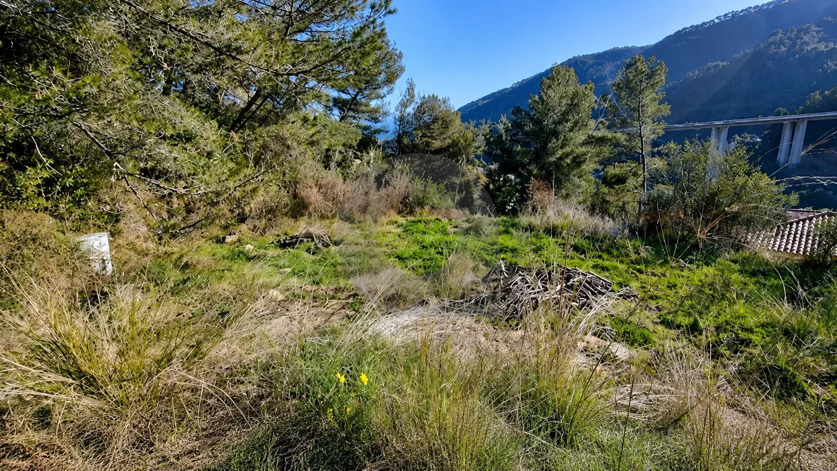 aa45a07035f72832c0e81224c2bb1b54_16e727199e_1672-original-172092-0.jpg VENTE TERRAIN CONSTRUCTIBLE AVEC PERMIS DE CONSTRUIRE À GORBIO