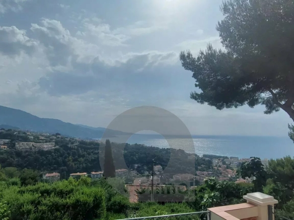 ROQUEBRUNE CAP MARTIN HAUTEURS