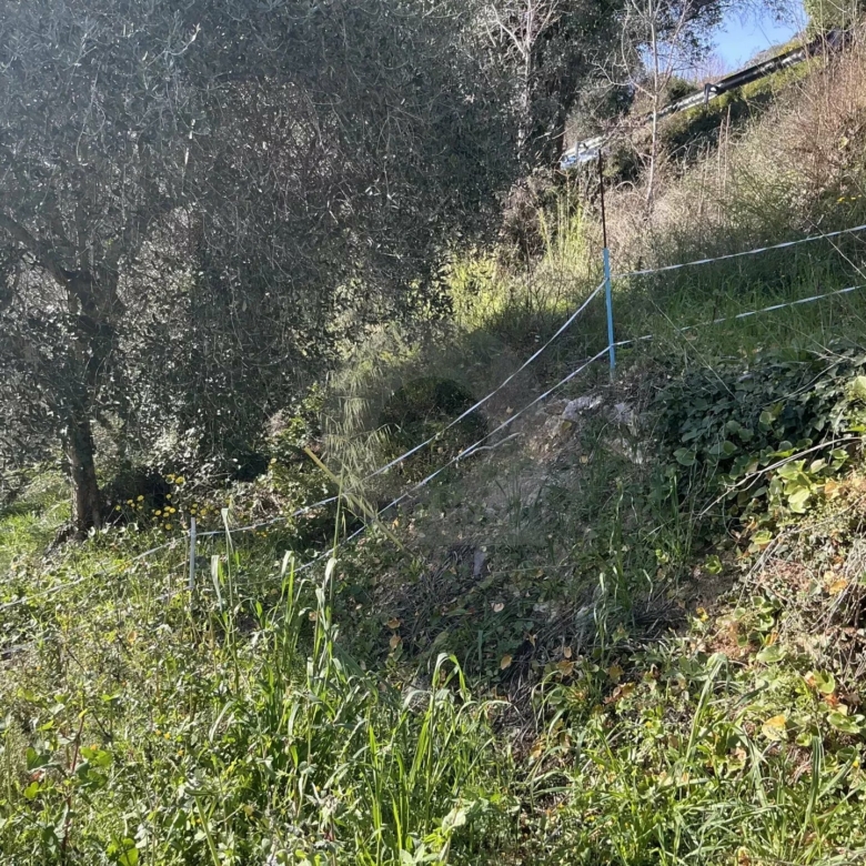 VENTE TERRAIN CONSTRUCTIBLE À GORBIO