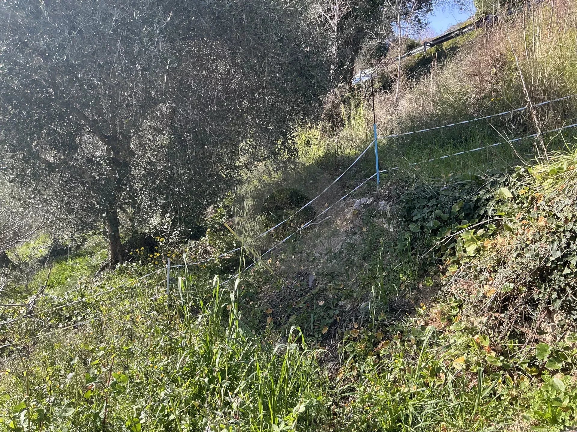 VENTE TERRAIN CONSTRUCTIBLE À GORBIO