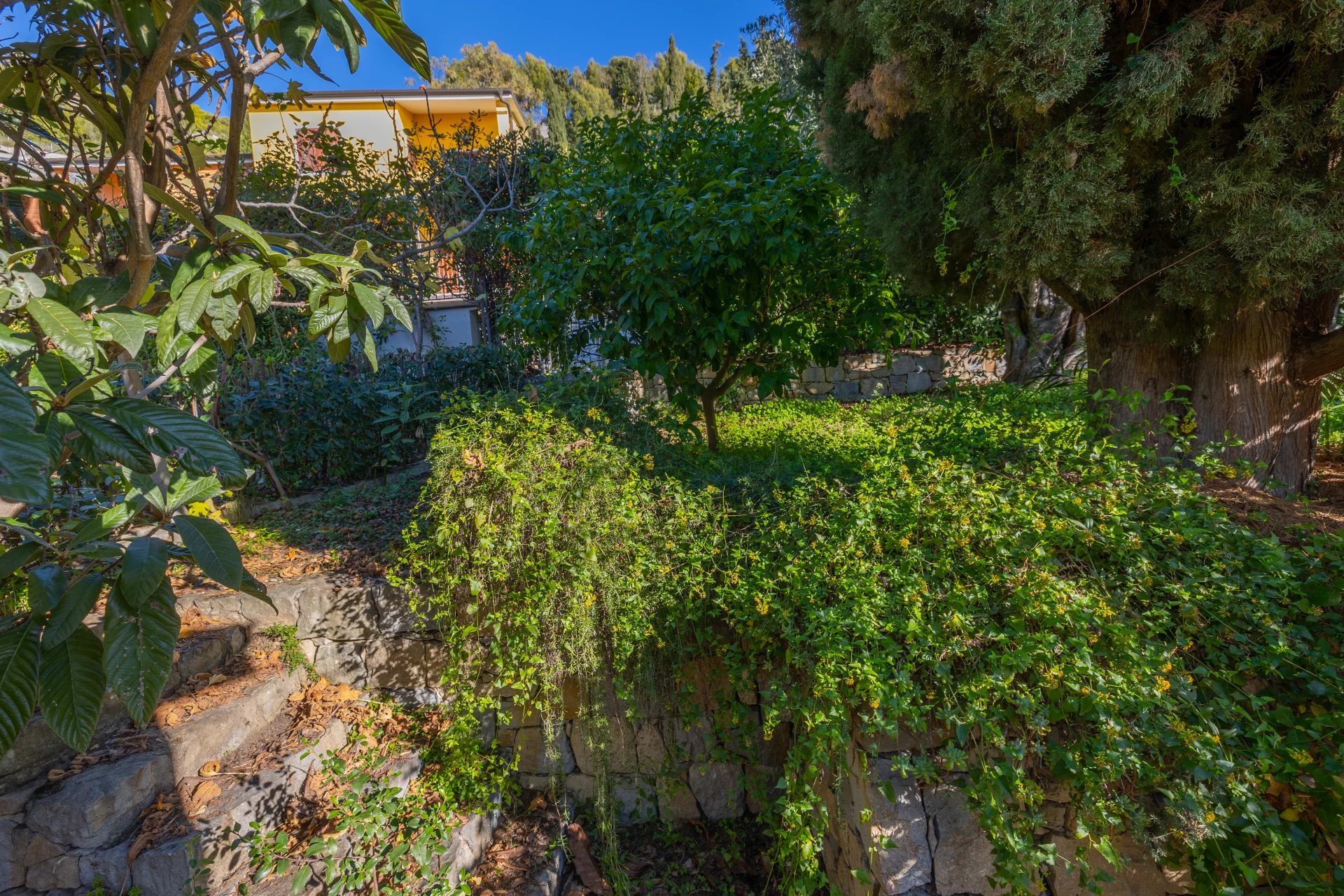 Maison à Grimaldi ***ITALIE*** proche Frontière – Vue Panoramique