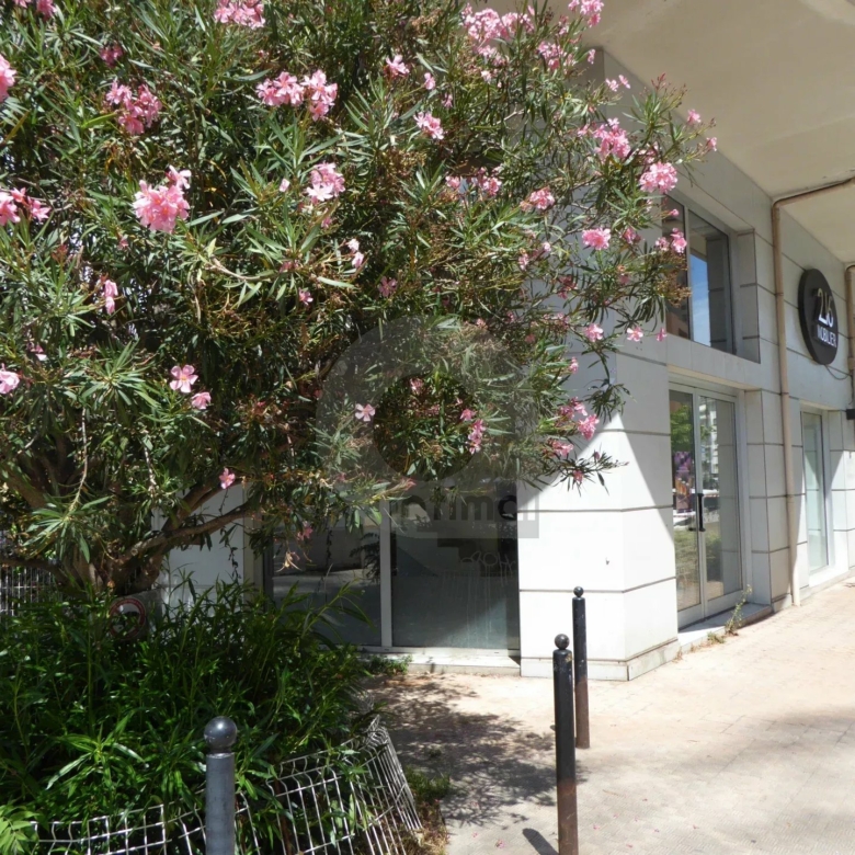 MENTON EXCLUSIVITE LOCAUX PROFESSIONNELS 212 M2