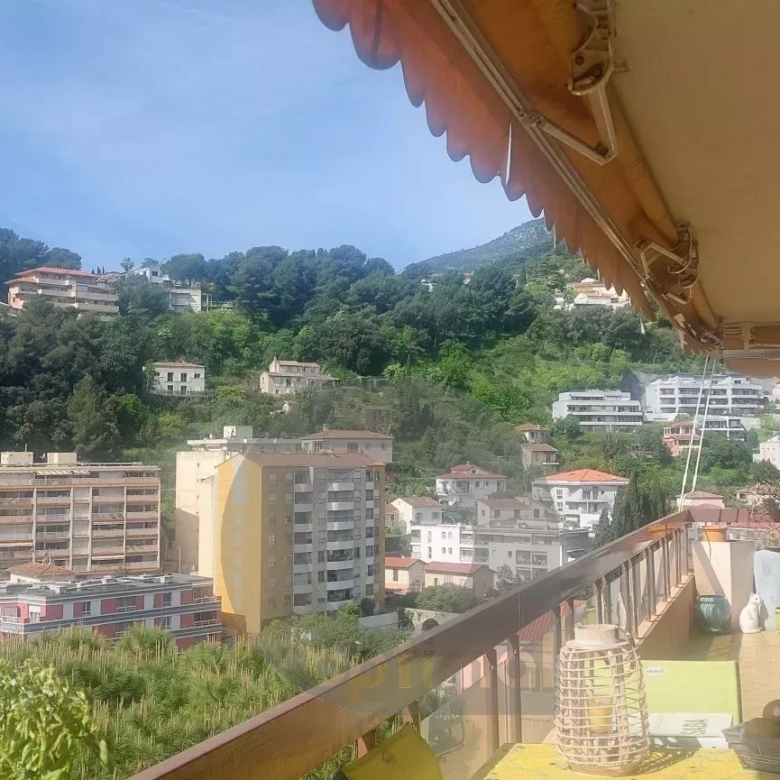 MENTON LIMITE CARNOLES