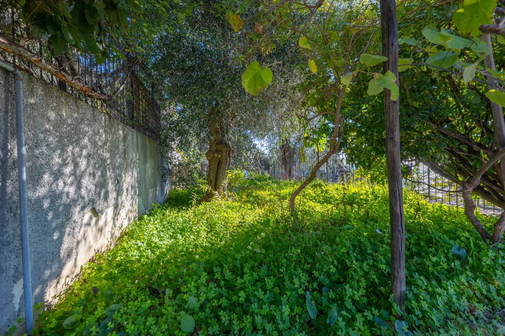 Maison à Grimaldi ***ITALIE*** proche Frontière – Vue Panoramique