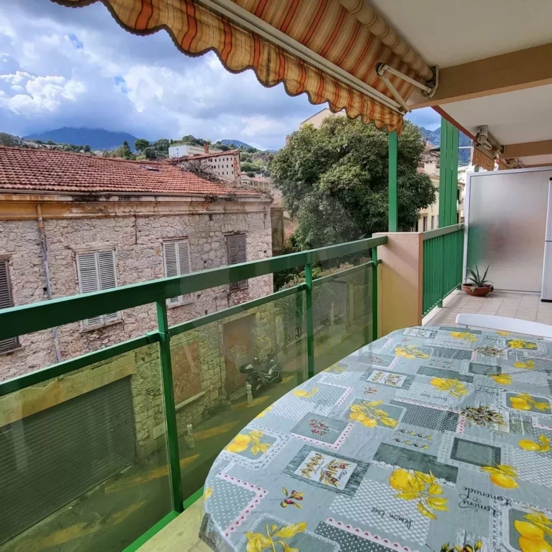 Menton Bas-Borrigo  –  grand 2 Pièces avec terrasse, garage et cave.