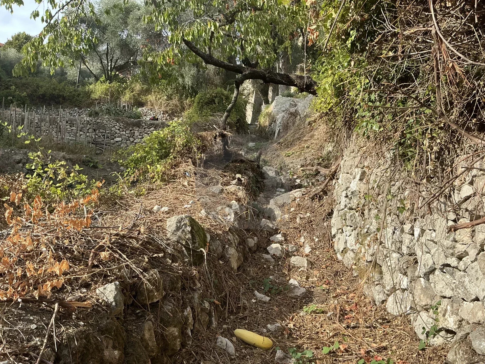 VENTE TERRAIN INCONSTRUCTIBLE GORBIO