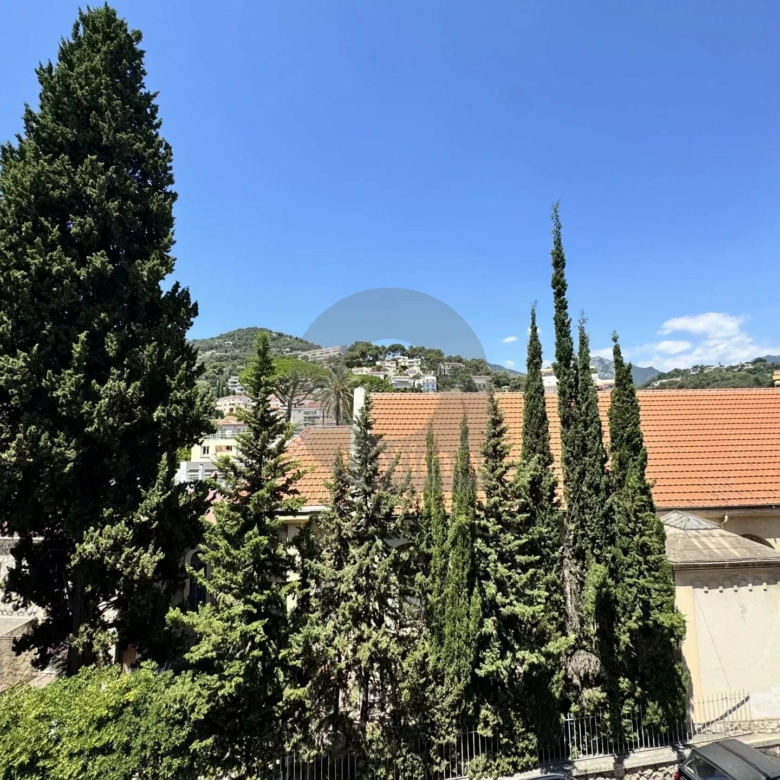 ROQUEBRUNE 2 PIÈCES GRANDE TERRASSE CENTRE VILLE