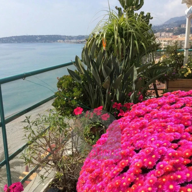 Menton – Bord et face mer, deux appartements d’exception avec solarium panoramique, vue mer et montagne exceptionnelle.