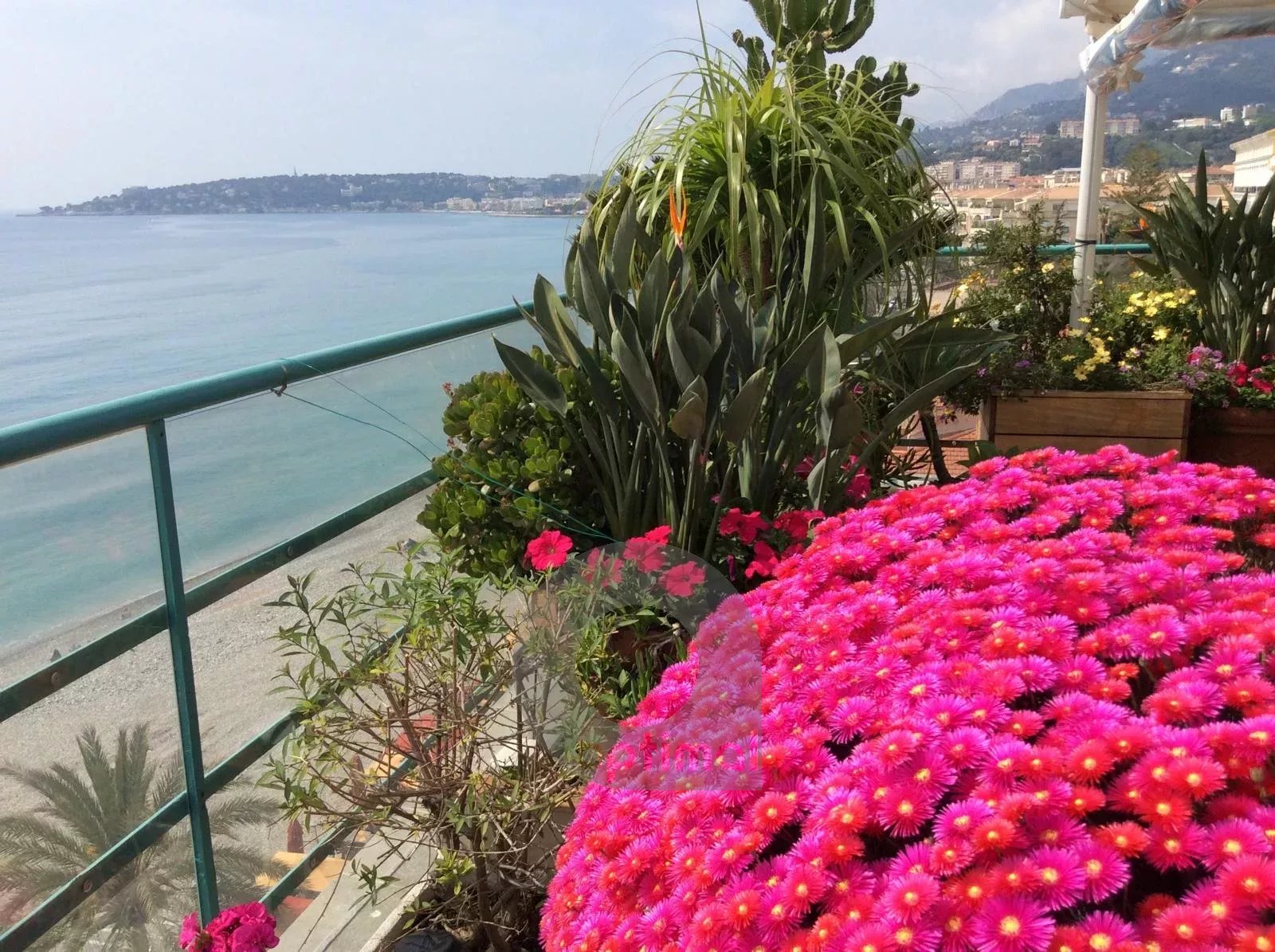 Menton – Bord et face mer, deux appartements d’exception avec solarium panoramique, vue mer et montagne exceptionnelle.