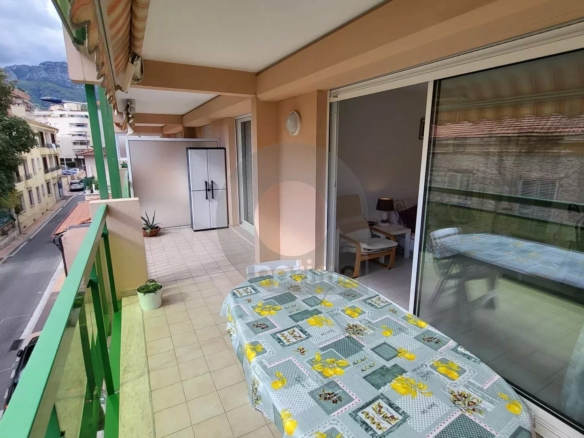 Menton Bas-Borrigo  –  grand 2 Pièces avec terrasse, garage et cave.