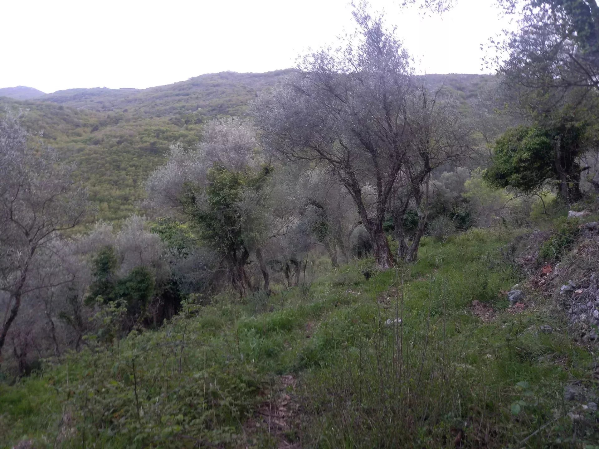 Grand terrain d’agrément