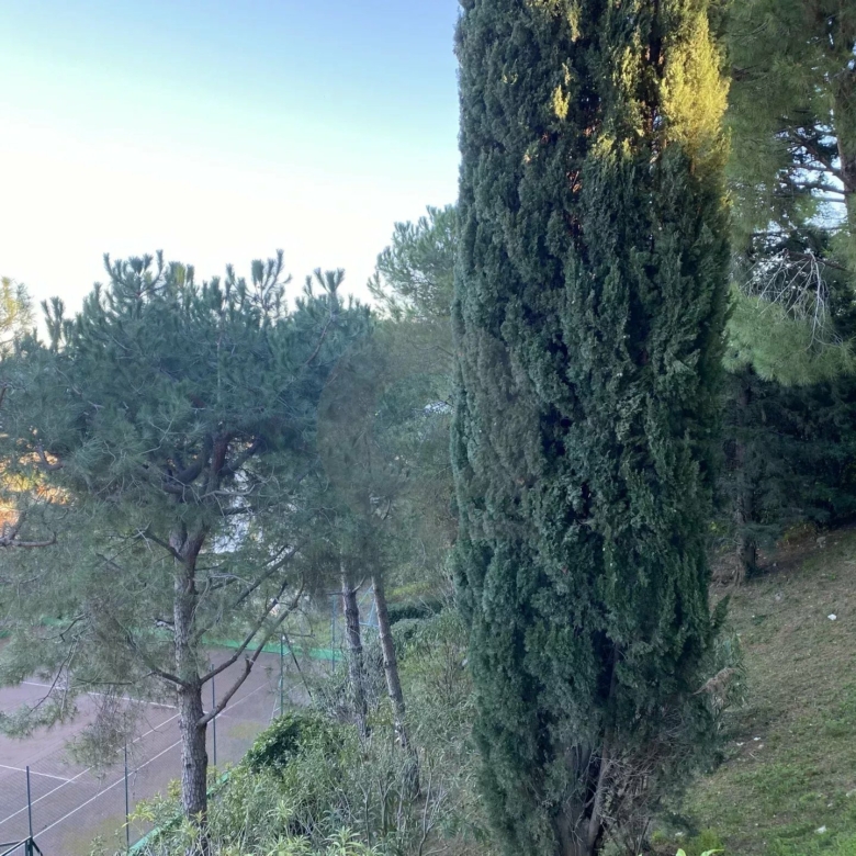 Roquebrune 2 PIÈCES 60M2 CAP MARTIN VUE MER PARKING