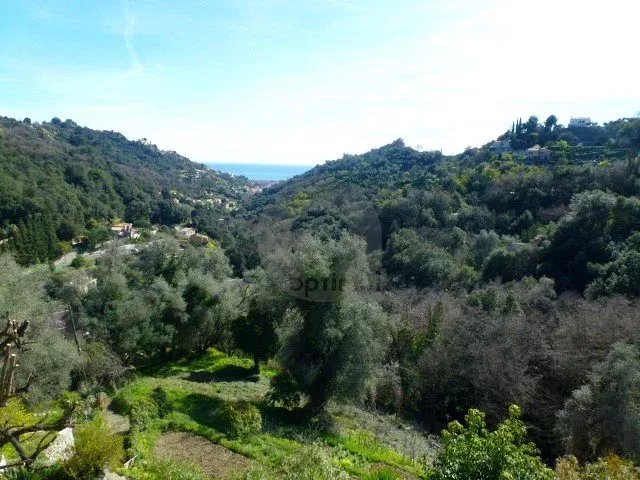 A LOUER APPT SECTEUR CABROLLES – SAINTE AGNES