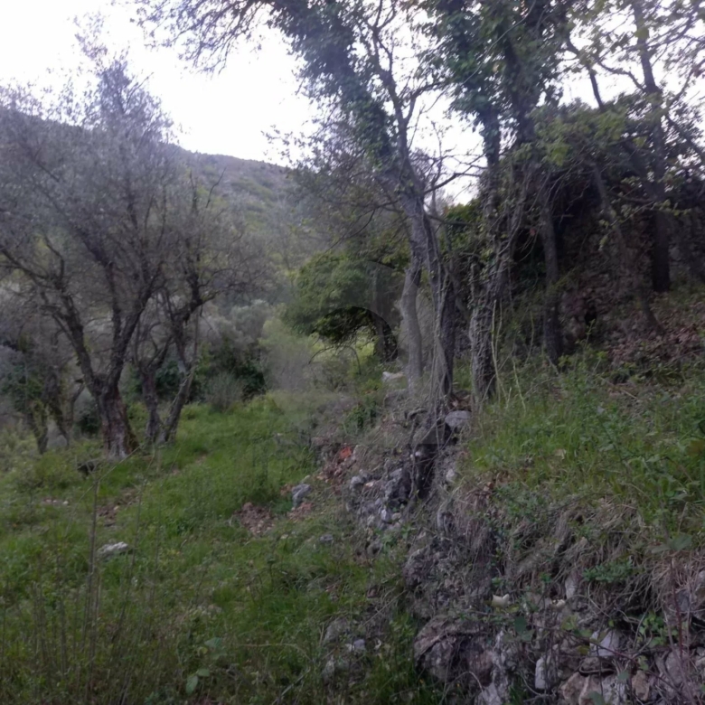Grand terrain d’agrément