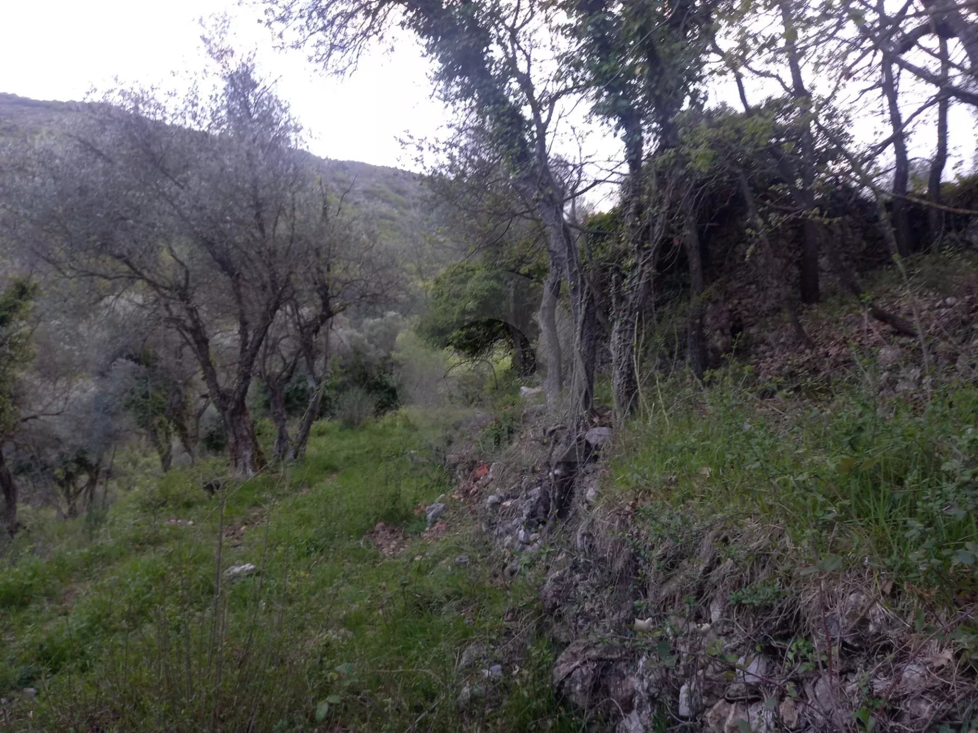 Grand terrain d’agrément