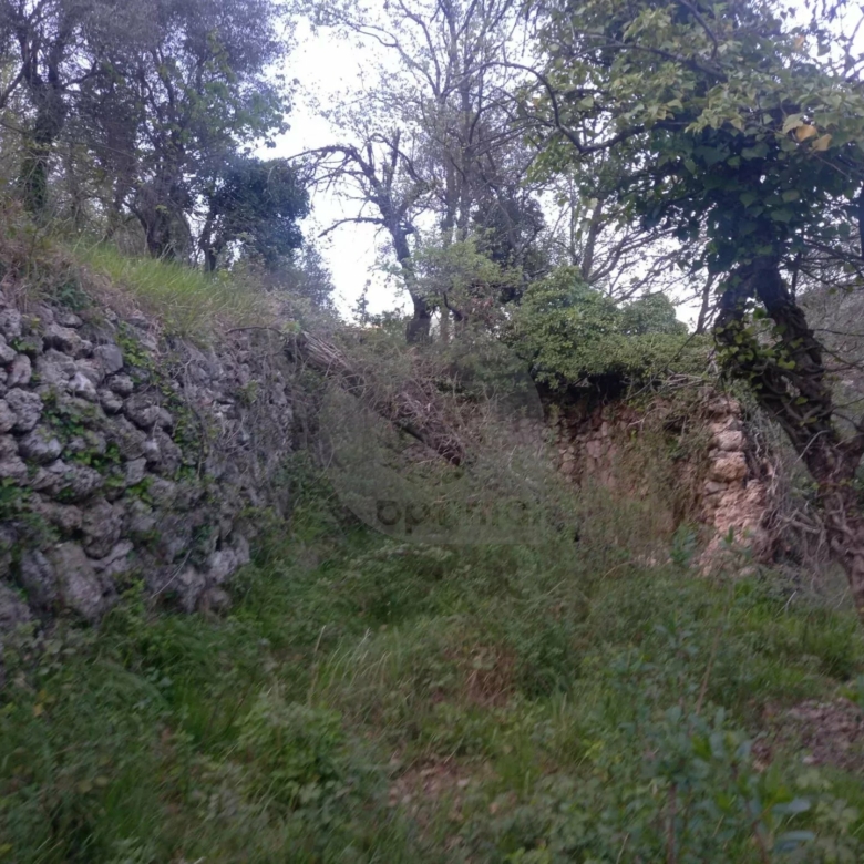Grand terrain d’agrément