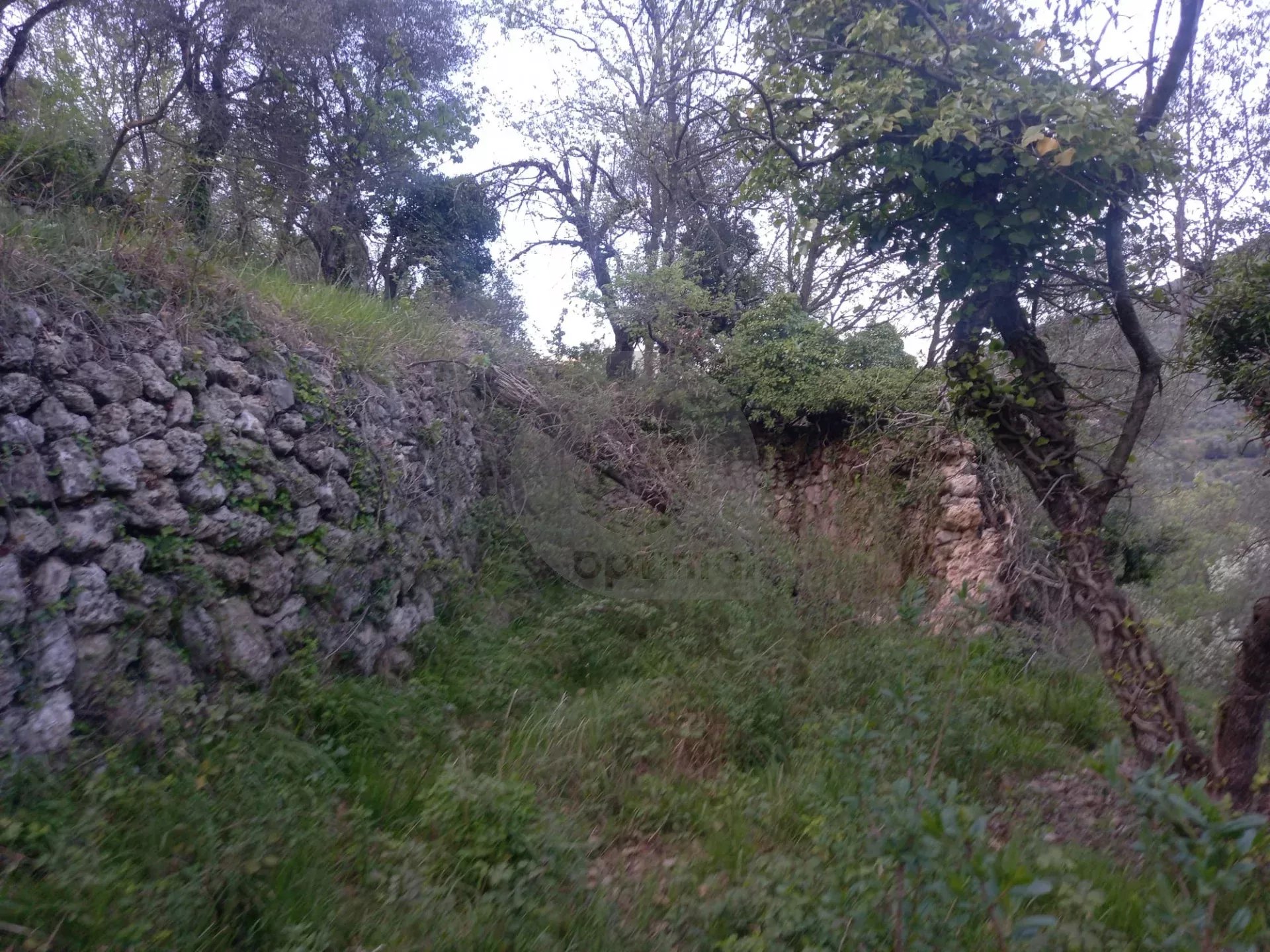 Grand terrain d’agrément
