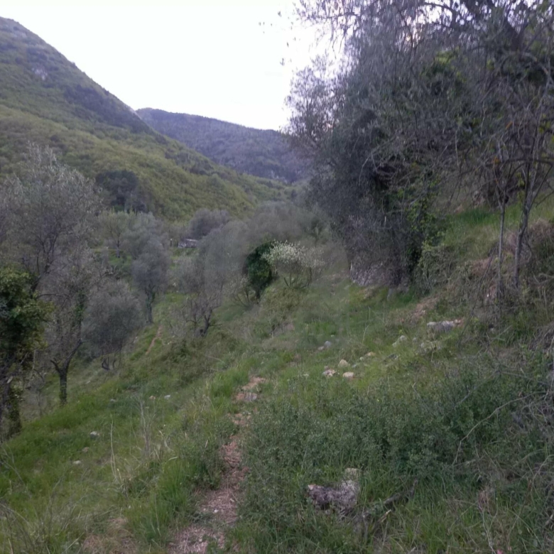 Grand terrain d’agrément