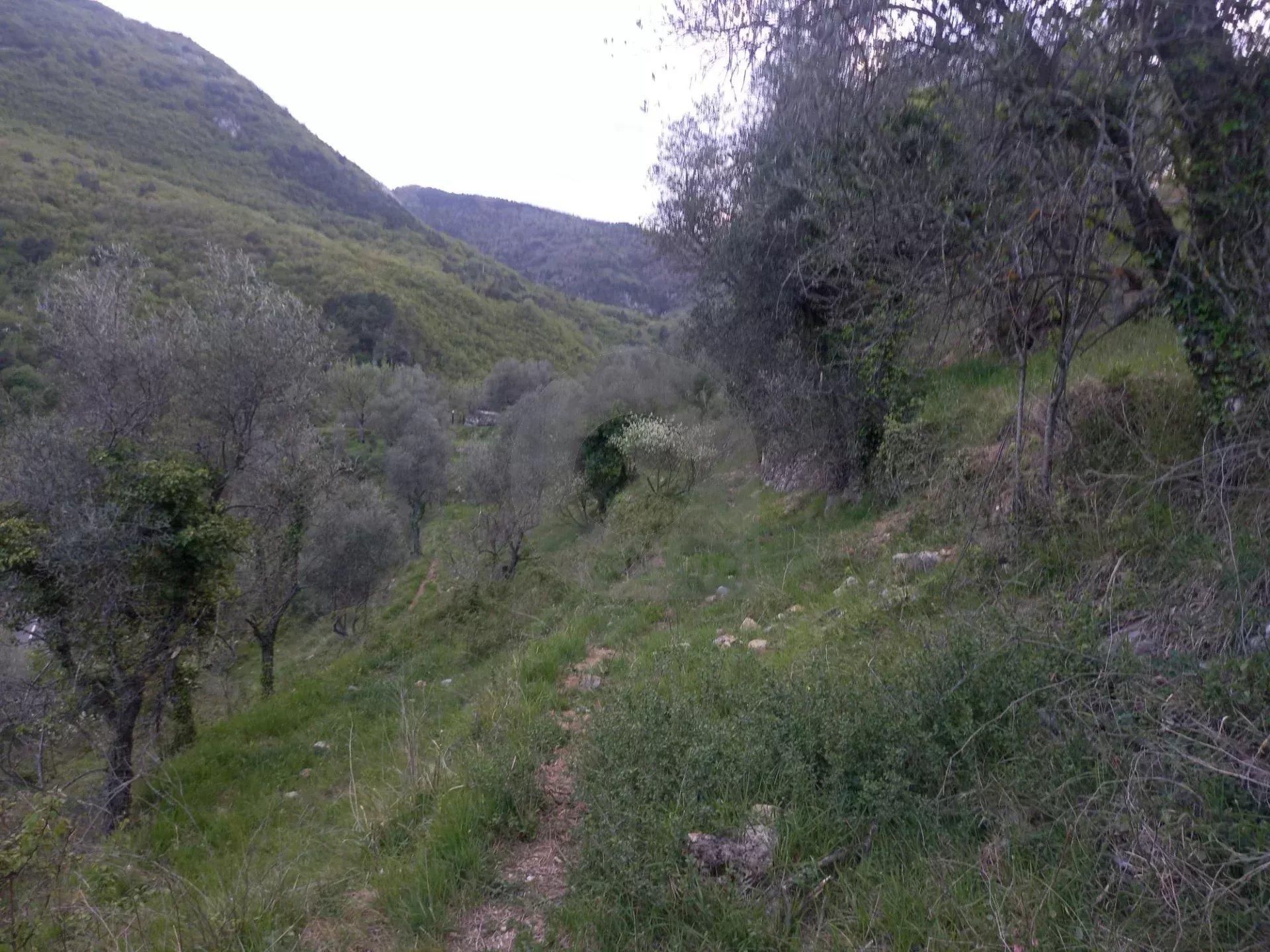 Grand terrain d’agrément