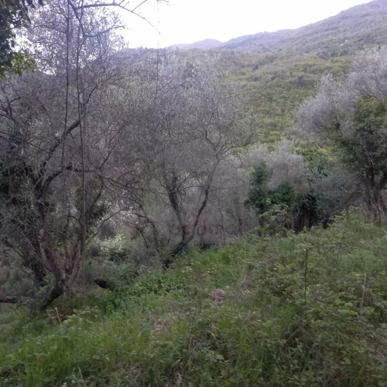 Grand terrain d’agrément