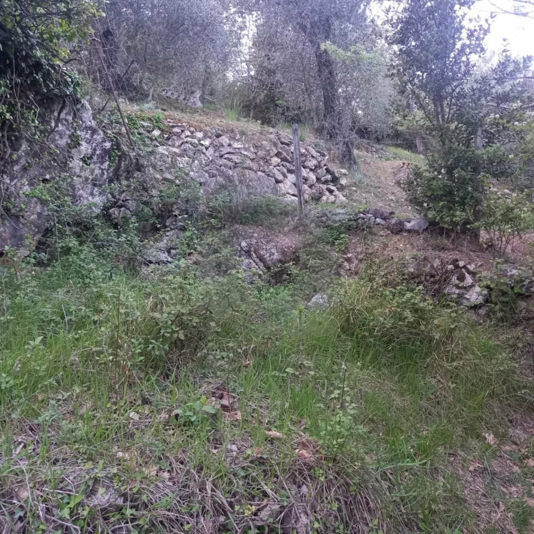 Grand terrain d’agrément