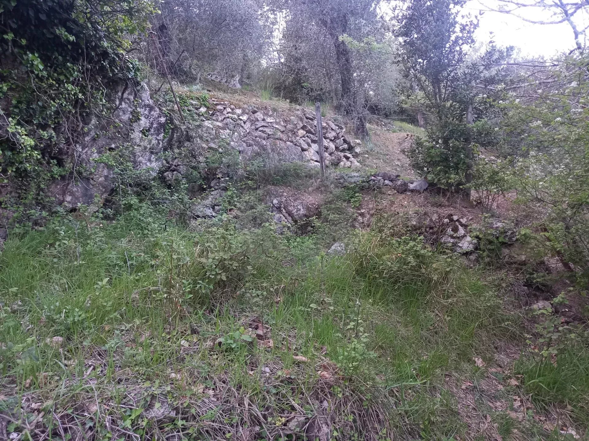 Grand terrain d’agrément