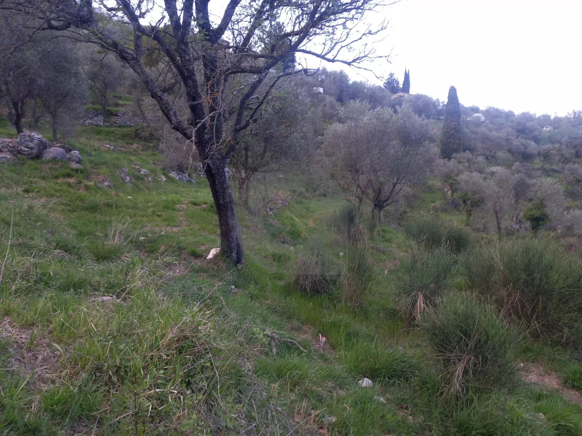 Grand terrain d’agrément