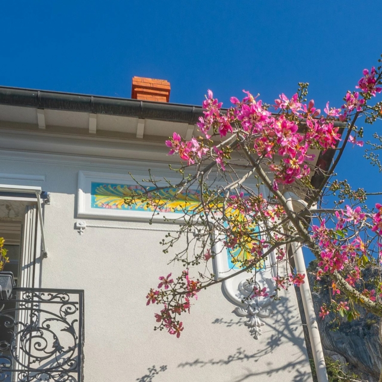 PROPRIETE’ A MENTON GARAVAN