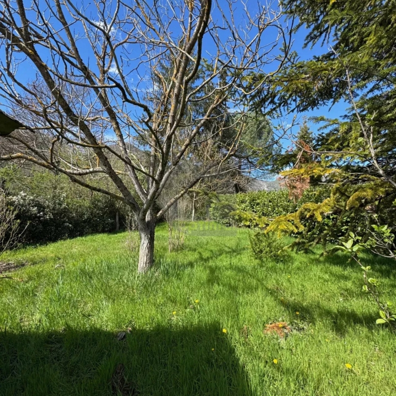 MAISON JUMELEE SOSPEL JARDIN