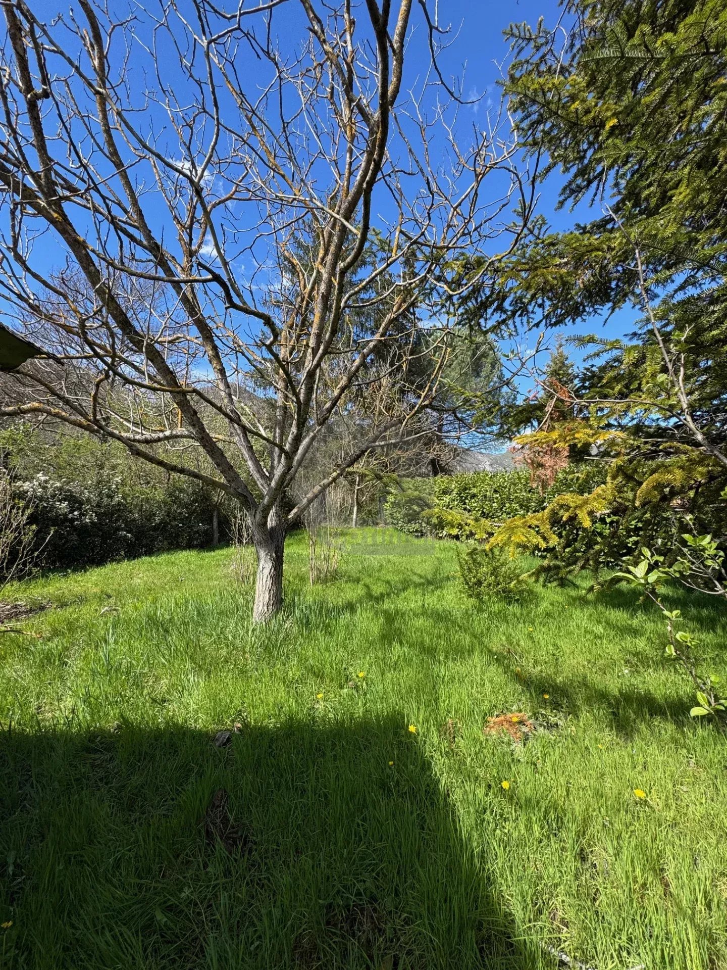 MAISON JUMELEE SOSPEL JARDIN