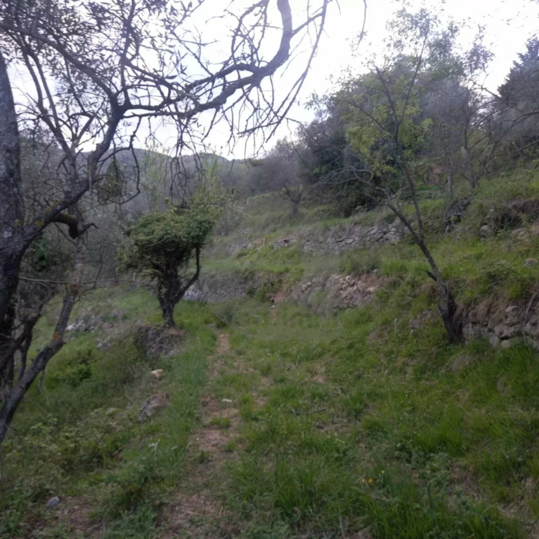Grand terrain d’agrément