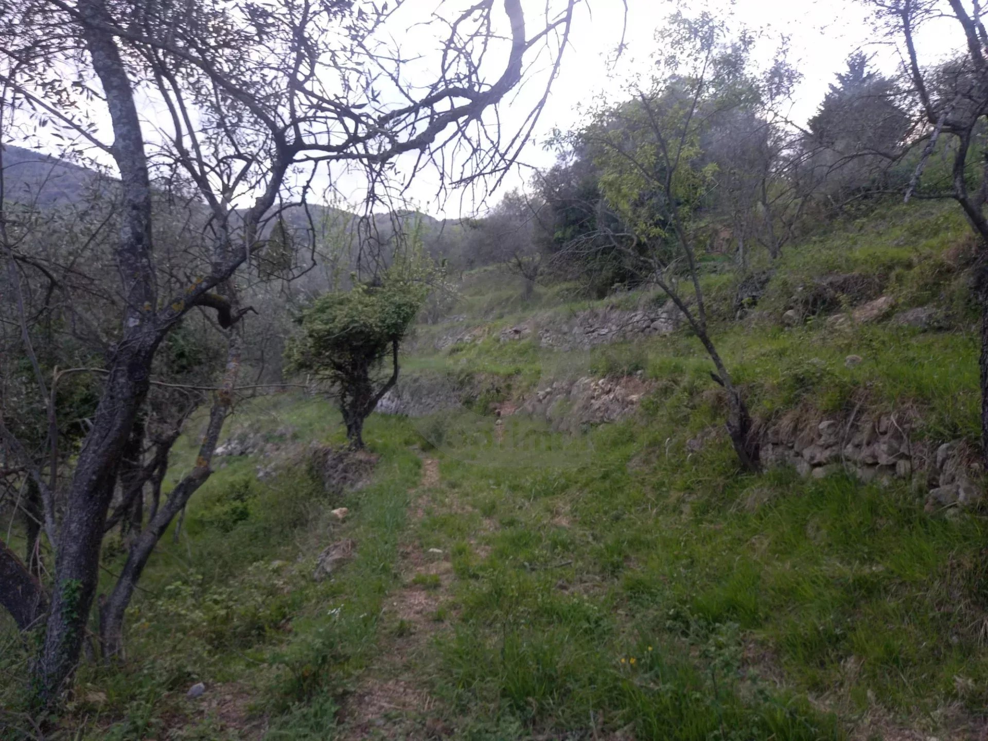 Grand terrain d’agrément