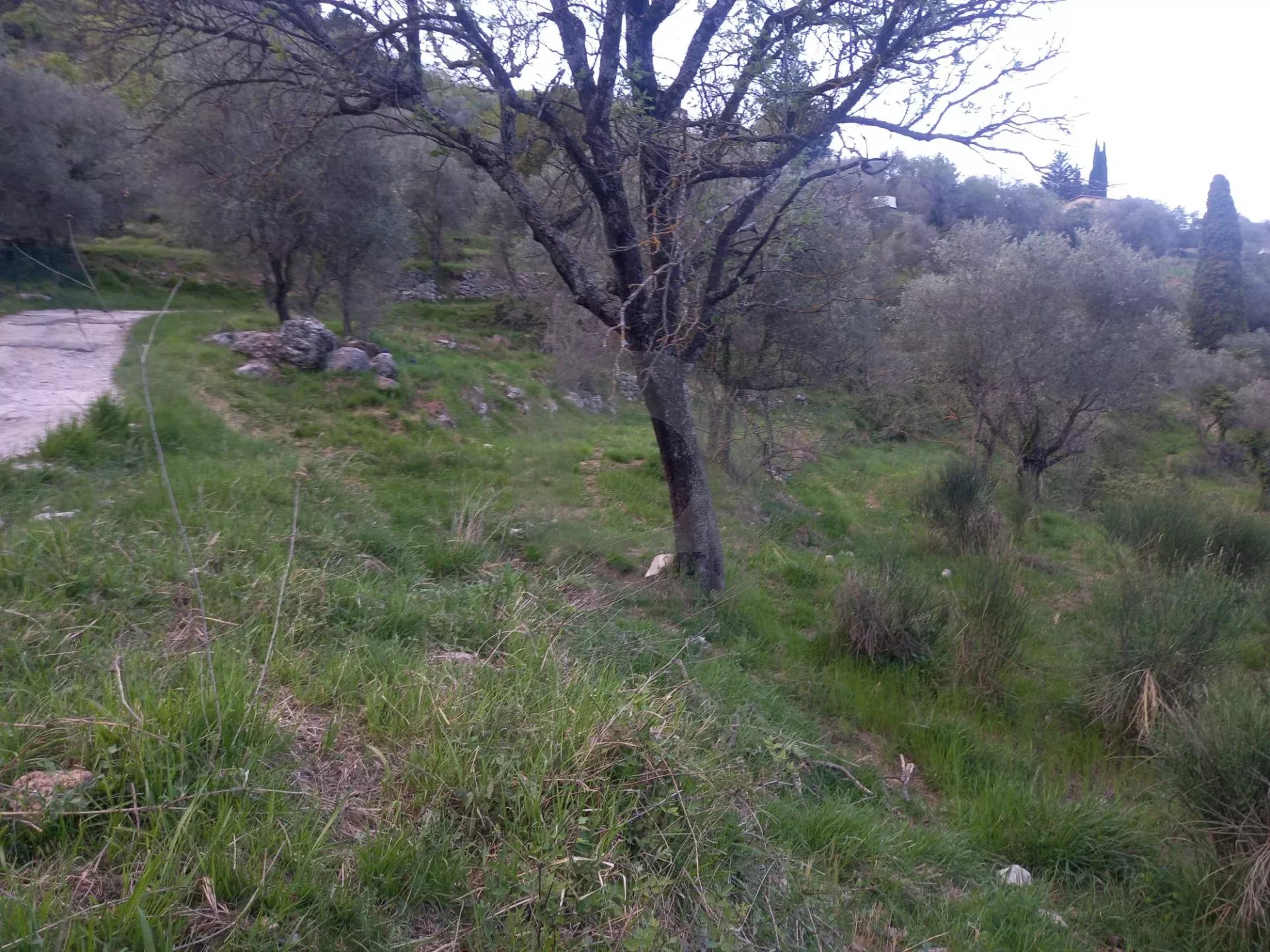 Grand terrain d’agrément