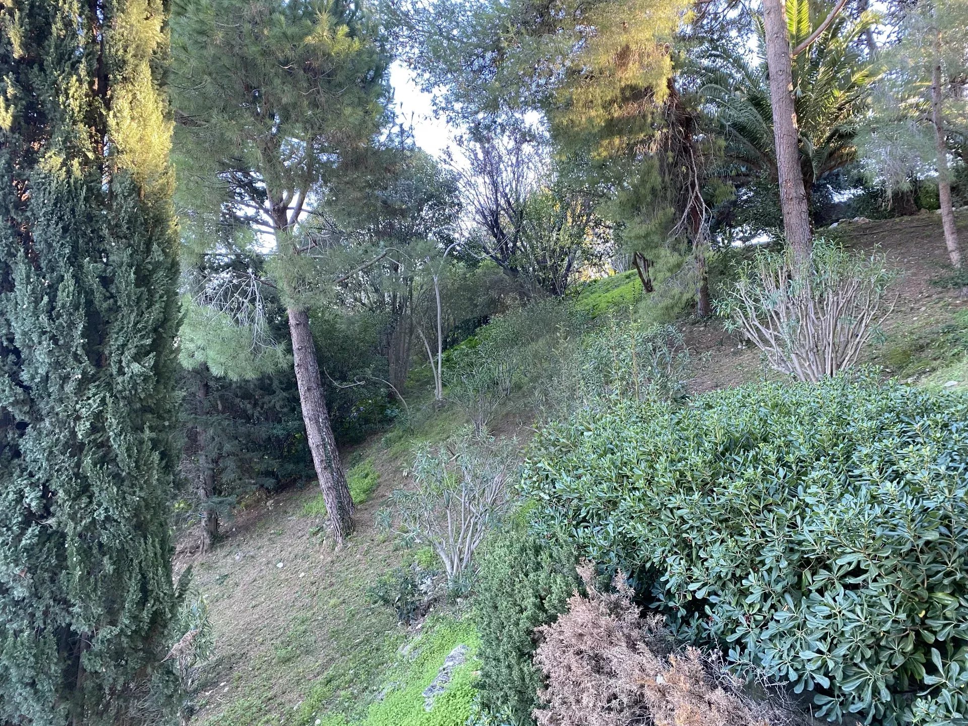 Roquebrune 2 PIÈCES 60M2 CAP MARTIN VUE MER PARKING
