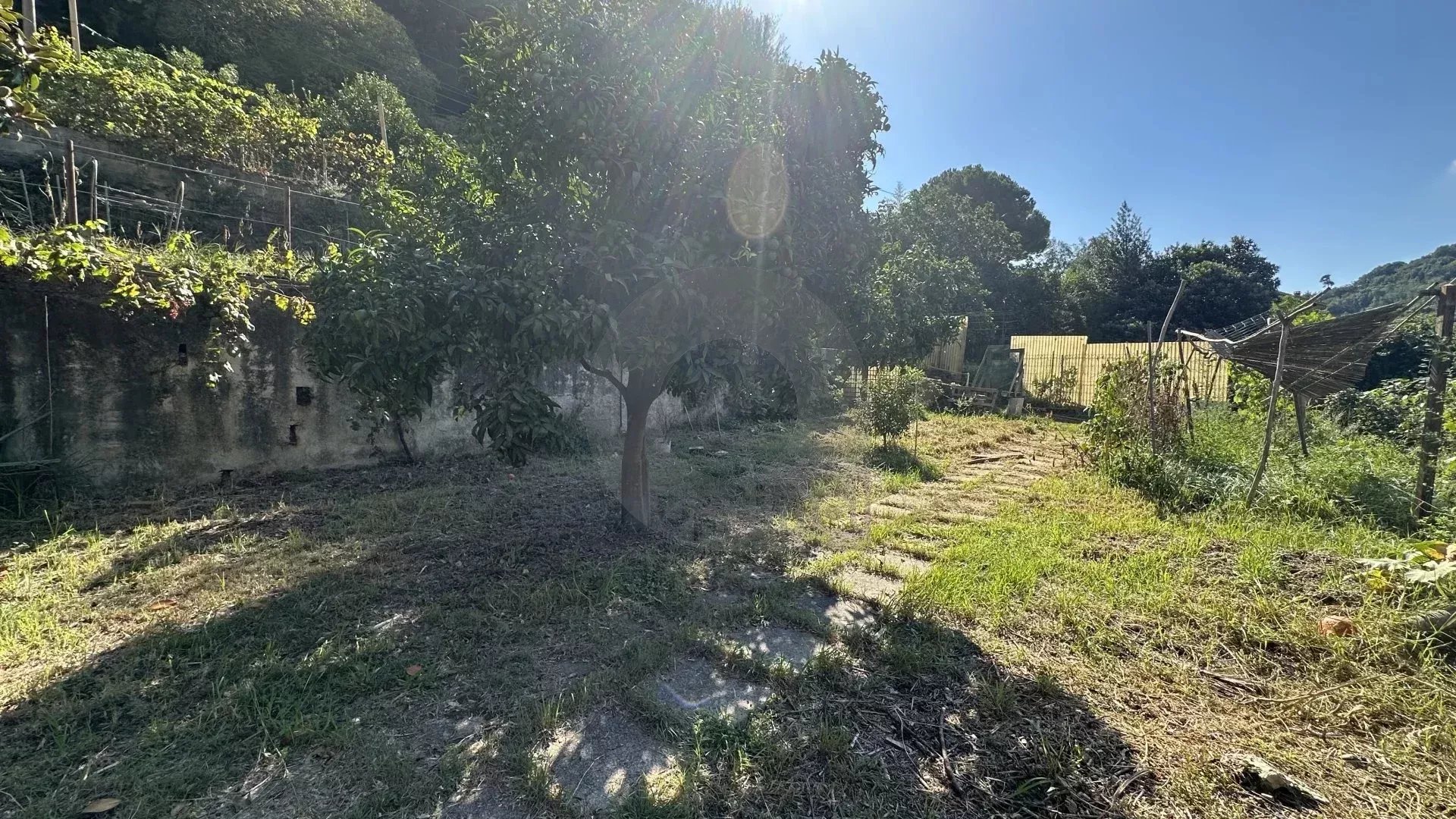 Menton – Cabrolles : Rare! Grande propriété avec magnifique terrain  – Vue dégagée – Accès direct
