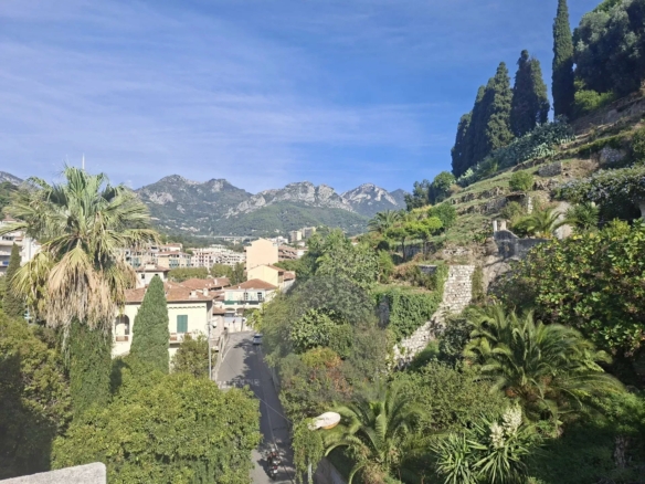 MENTON BAS BORRIGO