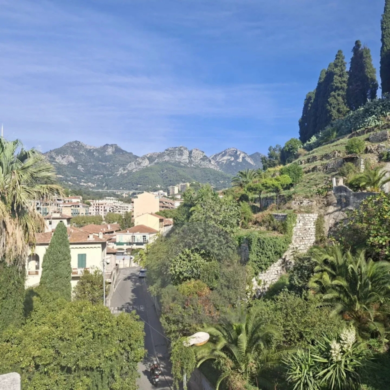 MENTON BAS BORRIGO