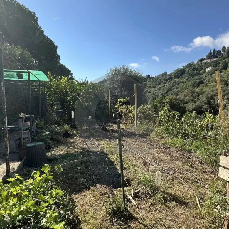 Menton – Cabrolles : Rare! Grande propriété avec magnifique terrain  – Vue dégagée – Accès direct