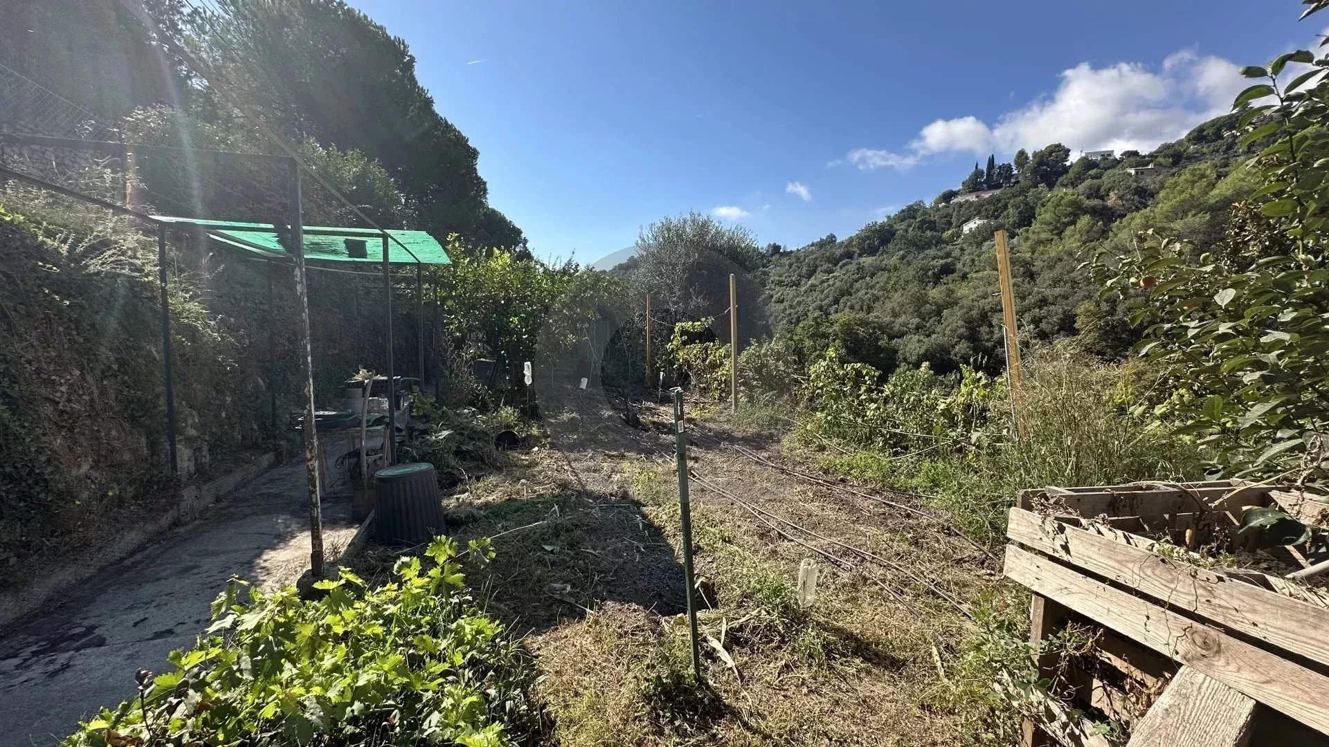 Menton – Cabrolles : Rare! Grande propriété avec magnifique terrain  – Vue dégagée – Accès direct