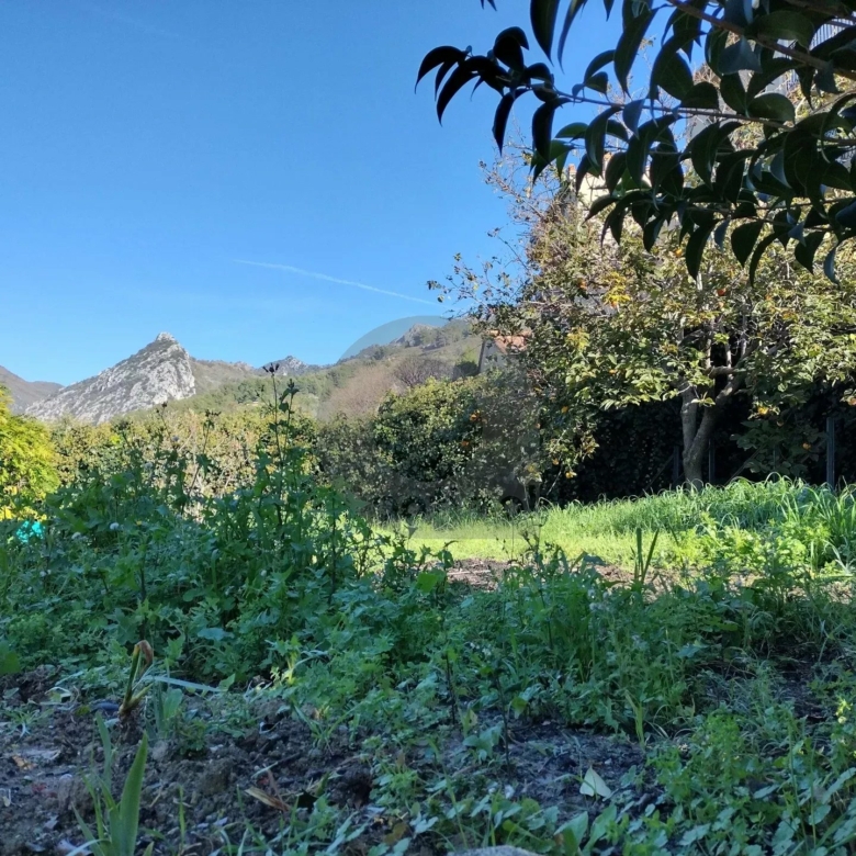 CASTELLAR : A LOUER 3P MEUBLE AVEC JARDIN