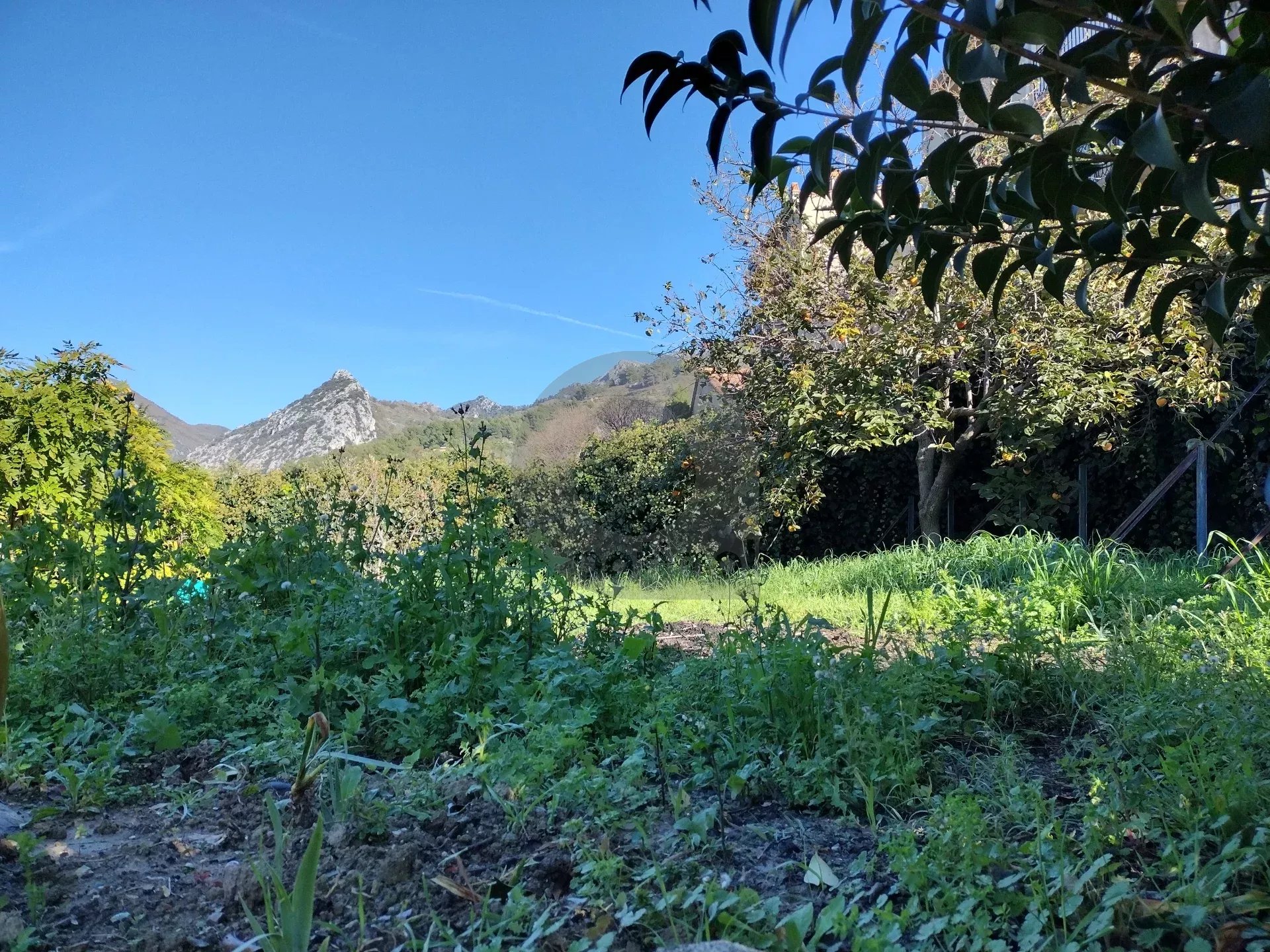 CASTELLAR : A LOUER 3P MEUBLE AVEC JARDIN