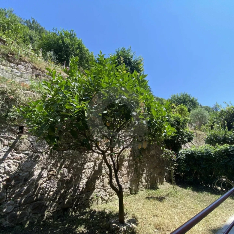 A VENDRE – MENTON CAREÏ – BEAU 3P AVEC CAVE EN BON ETAT TRAVERSANT BALCON TERRASSE ET JARDIN