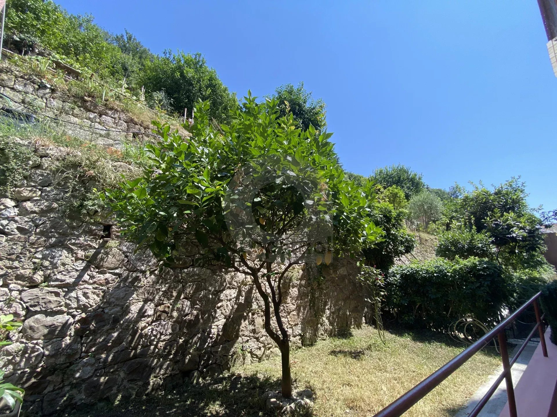 A VENDRE – MENTON CAREÏ – BEAU 3P AVEC CAVE EN BON ETAT TRAVERSANT BALCON TERRASSE ET JARDIN