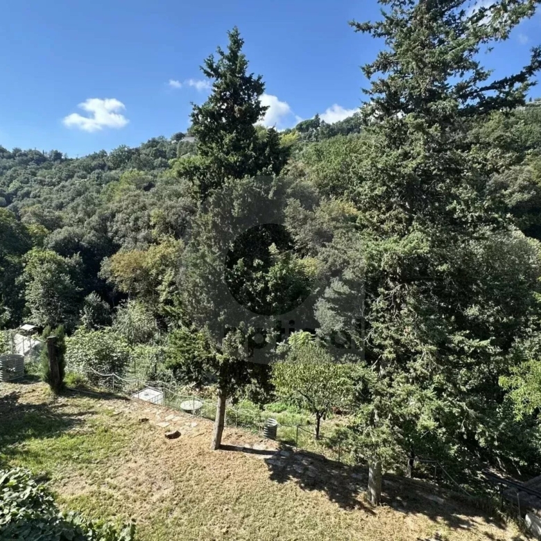 Menton – Cabrolles : Rare! Grande propriété avec magnifique terrain  – Vue dégagée – Accès direct