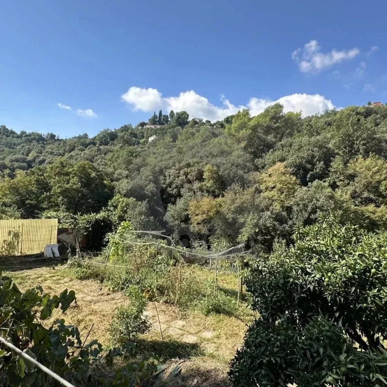 Menton – Cabrolles : Rare! Grande propriété avec magnifique terrain  – Vue dégagée – Accès direct