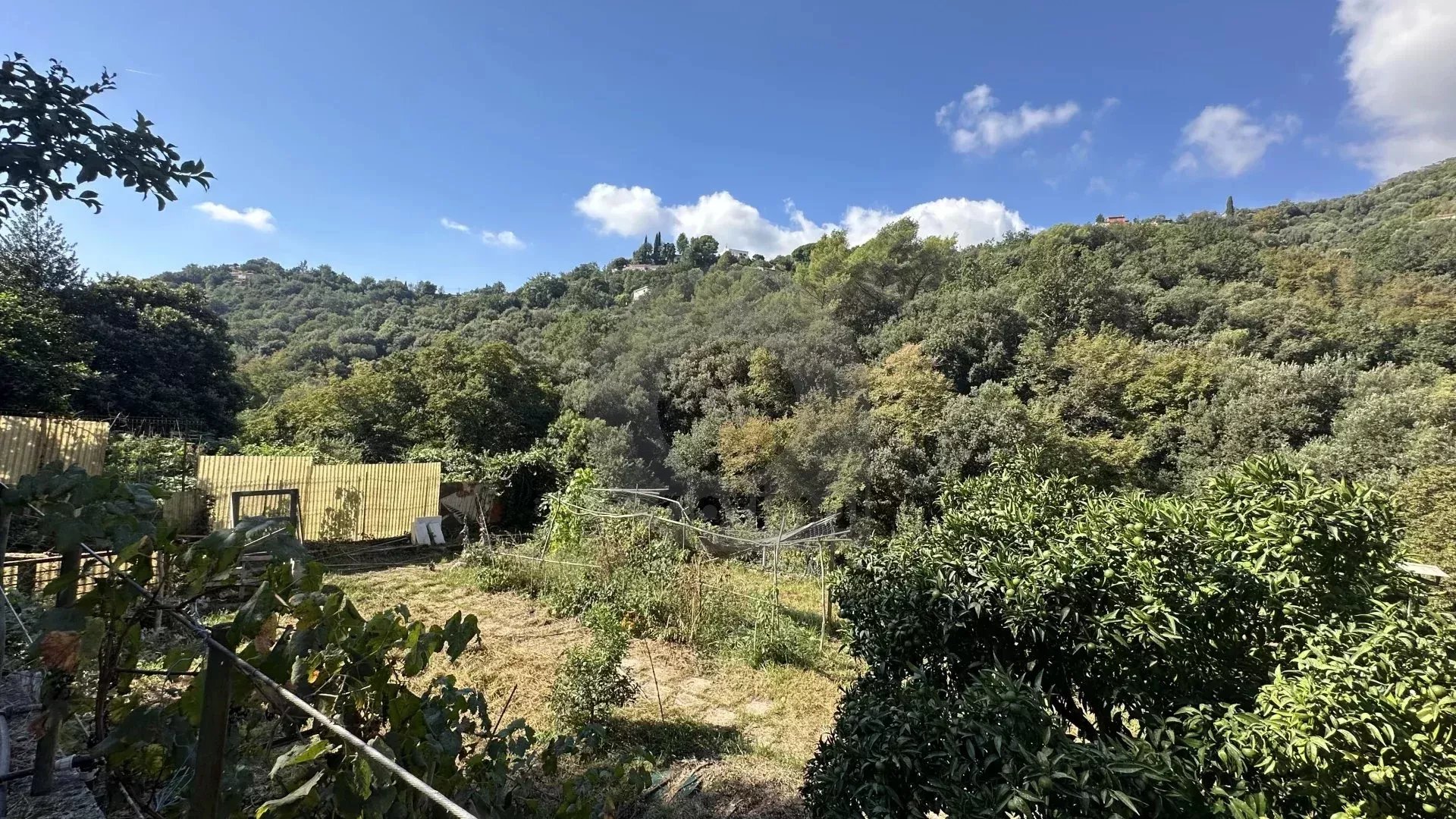 Menton – Cabrolles : Rare! Grande propriété avec magnifique terrain  – Vue dégagée – Accès direct